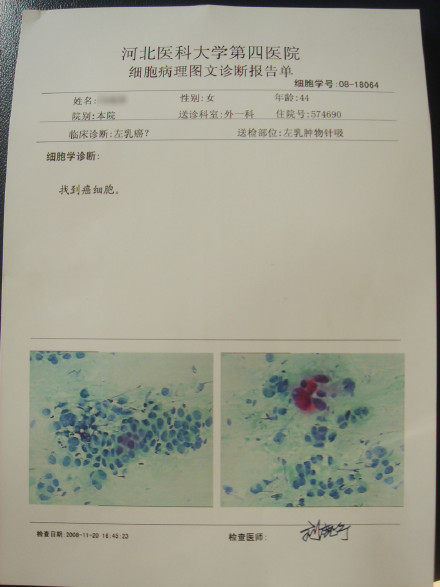 502e8a8945ccf5cc325d4.jpg