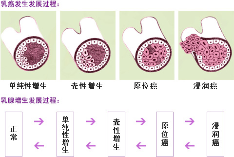 5a57b0c9543549939976ab097175d9d4_th.png